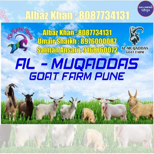 Al Muqaddas Goat Farm,