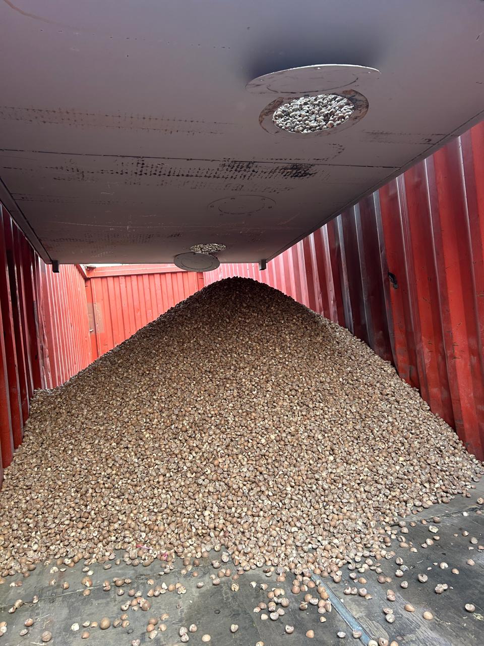 Mumbai Customs Zone III Ne Pakda 22 Metric Tonnes Supari, Value Rs 1.27 Crore