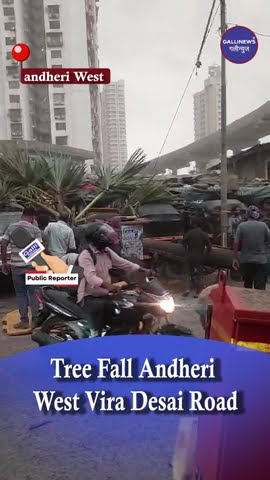 Tree Fall Andheri West Vira Desai Road