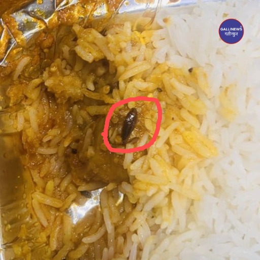 Cockroach Mara Hua Mila Non Veg Thali Me, Vande Bharat Express Train Passenger Ki Complaint