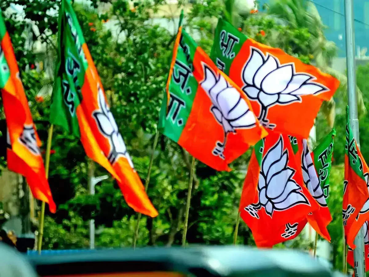 BJP Se Election Ladne Mana Kar Rahe Hain BJP Ke Diggaj Leaders, List Badhti Hi Jaa Rahi Hai, 1 Ne Toh Ticket Lekar Mana Kiya