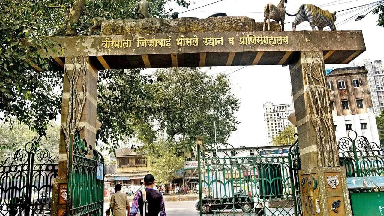 Rani Baug Mumbai Byculla Zoo Mein Saal Bhar Mein 50 Animal/Birds Ki Maut Hui, Zyadatar Heart Attack Ke Karan
