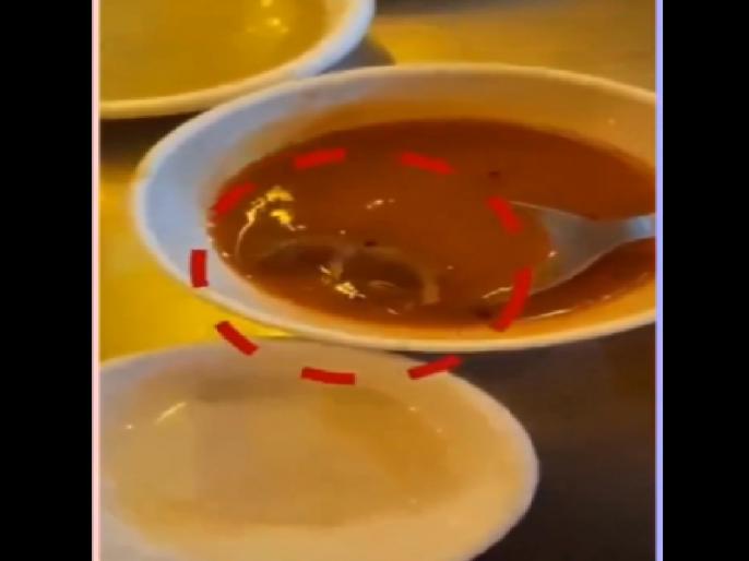 Chuha Nikla Sambar Me, Gujrat Ahmedabad Ke Ek Restaurant Ka Mamla, Social Media Par Video Viral Hua