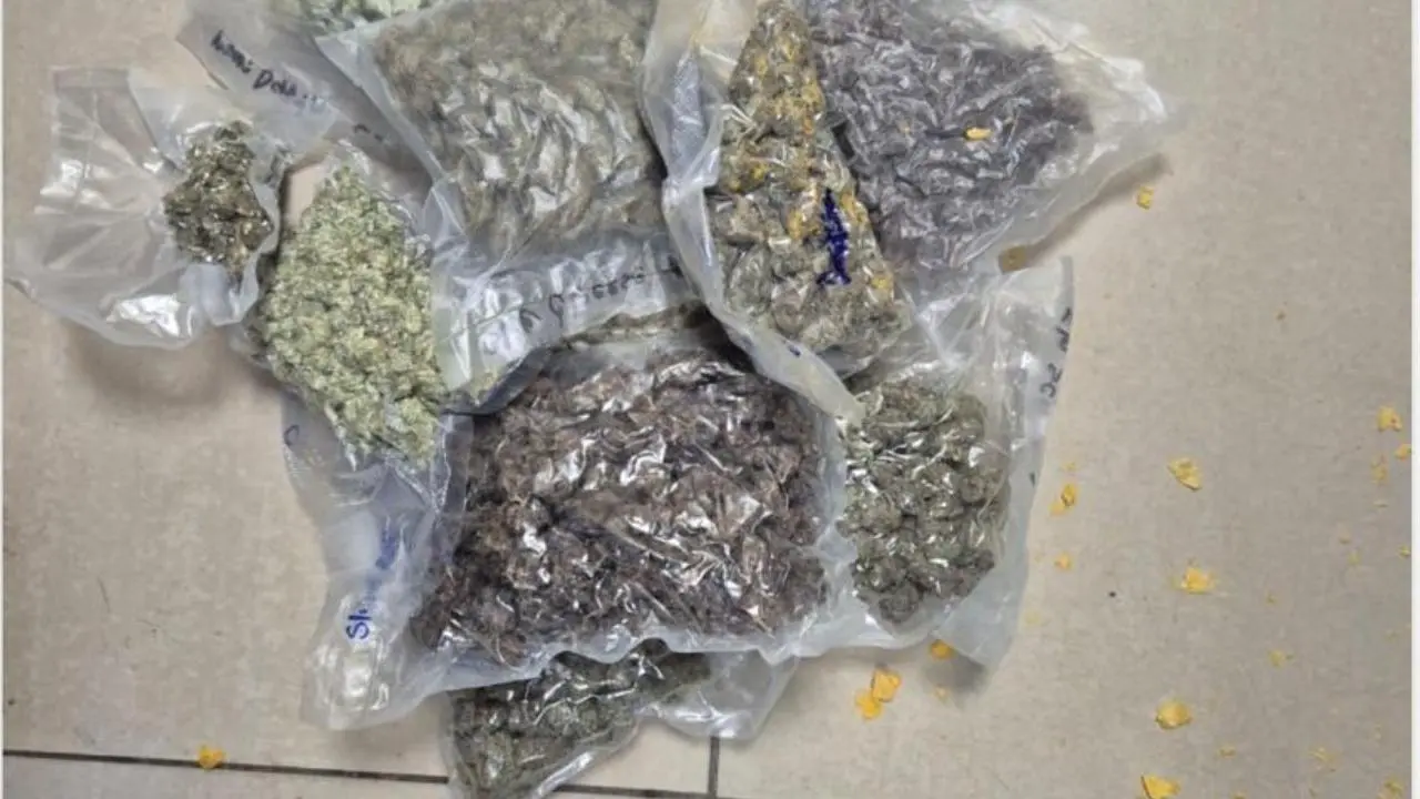 Ganja 1.34 Kg Worth Rs 1.34 Crore Ka Pakda Mumbai Customs Ne At Airport, 1 Arrested