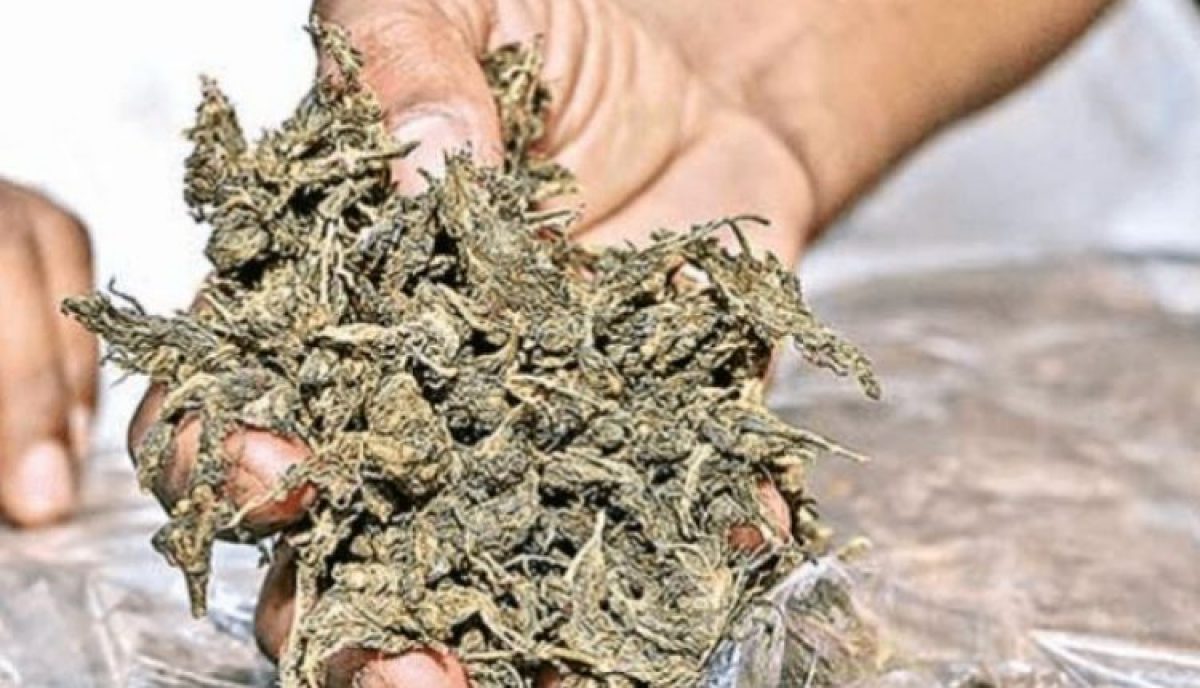 MD Drugs, Ganja Worth Rs 3.90 Lakh Ke Zabt Kiya Police Ne, 4 Arrested At Thane Ulhasnagar