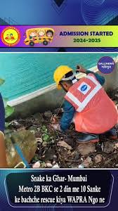 Snake Ka Ghar- Mumbai Metro 2B BKC Se 2 Din Me 10 Sanke Ke Bachche Rescue Kiya WAPRA Ngo Ne