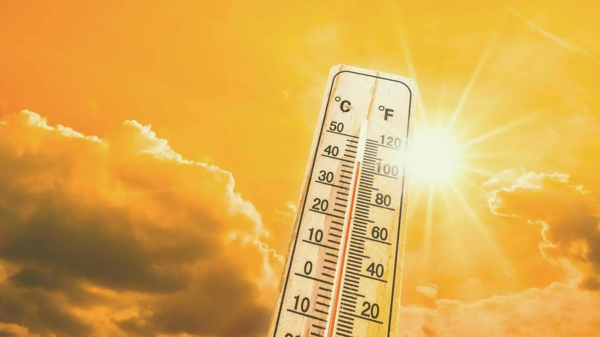 Mumbai Ki Garmi Mein Zara Si Kami Aa Sakti Hai Aane Wale Dino Mein, Temperatures Kam Hone Ki Sambhavna Bataya IMD Ne