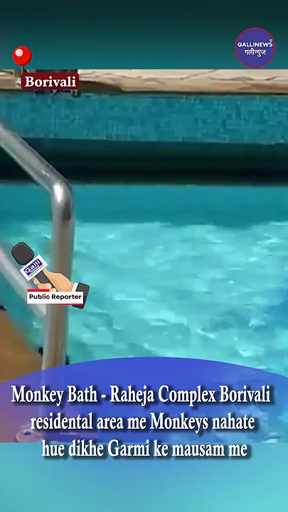 Monkey Bath – Raheja Complex Borivali Residential Area Me Monkeys Nahate Hue Dikhe Garmi Ke Mausam Me