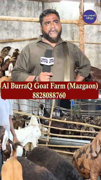 Al BurraQ Goat Farm Mazgaon