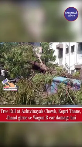 Tree Fall At Ashtvinayak Chowk, Kopri Thane, Jhaad Girne Se Wagon R Car Damage Hui