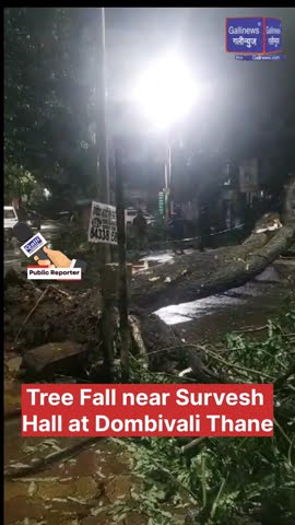 Tree Fall Near Survesh Hall At Dombivali Thane