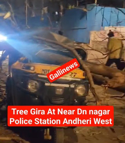 Tree Gira Auto Rickshaw par Near DN Nagar Police Station Andheri West