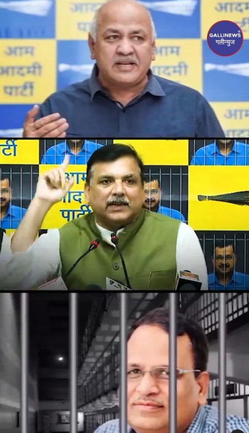AAP on Election Result
