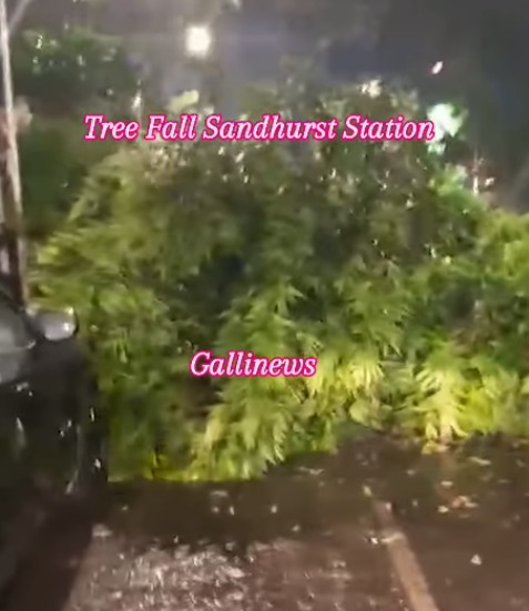 Tree Fall at Sandhurst Road Station