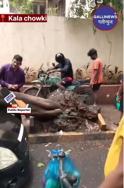 Tree Fall On Car At Kala Chowki