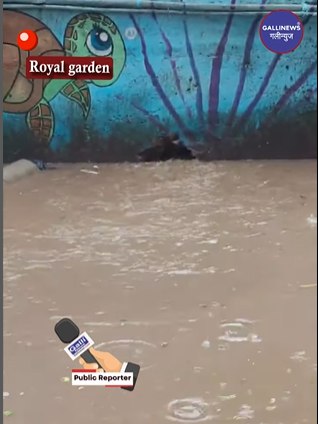 Royal Garden Area Zainabia F Wing