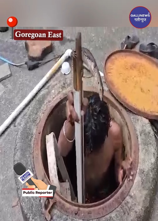 Vinay Mistry | Rescue The Baby Monitor Lizard At Goregaon East Filmcity Royal Palms