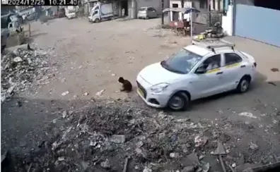 Car Guzar Gayi 6Yrs Old Boy Ke Ooper Se, Ladke Injured Hua, Palghar Ke Vasai Ka Mamla, CCTV Video Aaya Saamne