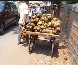 Gattar ke paani se Tadgole dhote hue Video viral hua, Khed City Ratnagiri se, Police case darj