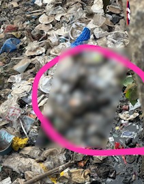 Bacchi Ki Dead Body Mili – Missing Baby Girl Ayesha (3) Ki Laash Nale Mein Pai Gayi At Govandi