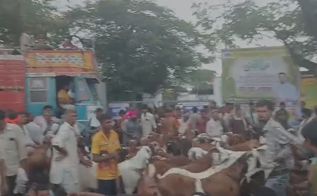 Deonar Bakra Mandi mai Bakra Vyapariyo ne Andolan, Bakre Road Par Utar Diye