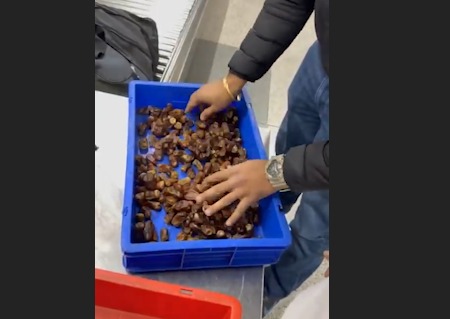 Khajoor Me Gold Smuggling: 172 Gram Gold Pakda, Saudi Arab Se Aaye Passenger Ke Pass Se Customs Ne IGI Airport Delhi Par