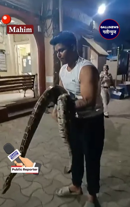 python snake rescue from Mahim police station