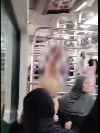 Naked Aadmi chadh gaya Ac Local train ke Ladies dabbe me at Ghatkopar Station, Video viral