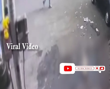 Stray Dog Par Hamla Karte Shaks Ka Video Viral At Antop Hill, Animal Cruelty Mamle Me Police Ki Janch Shuru, Video Viral