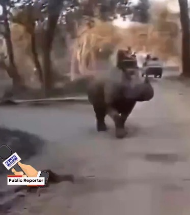 Genda – Rhino ke saamne giri Maa Beti at Assam Kaziranga National Park, Baal Baal Bach gaye Video Viral