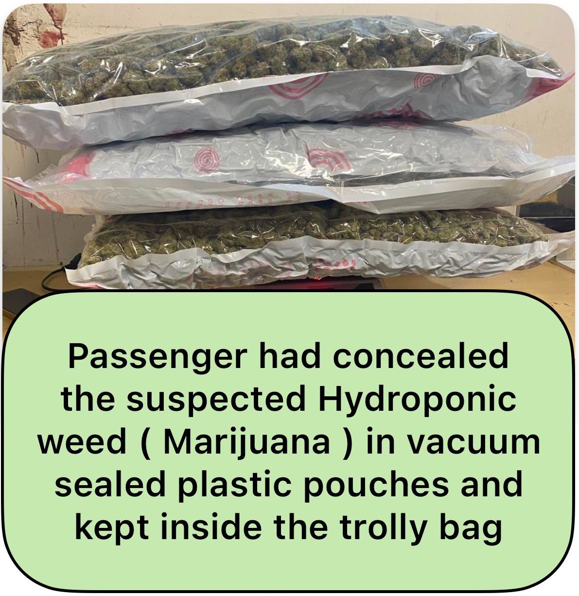 Mumbai Airport par 11.322 Kg Hydroponic Weed Zabt, Value ₹11.322 Crore