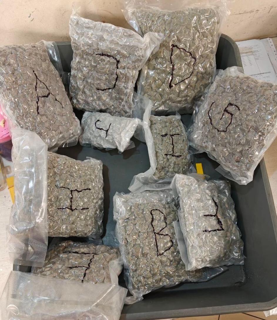 Gaanja – Hydroponic Weed Rs 4.417 Crore Ka Pakda Mumbai Airport Par Customs Officials Ne