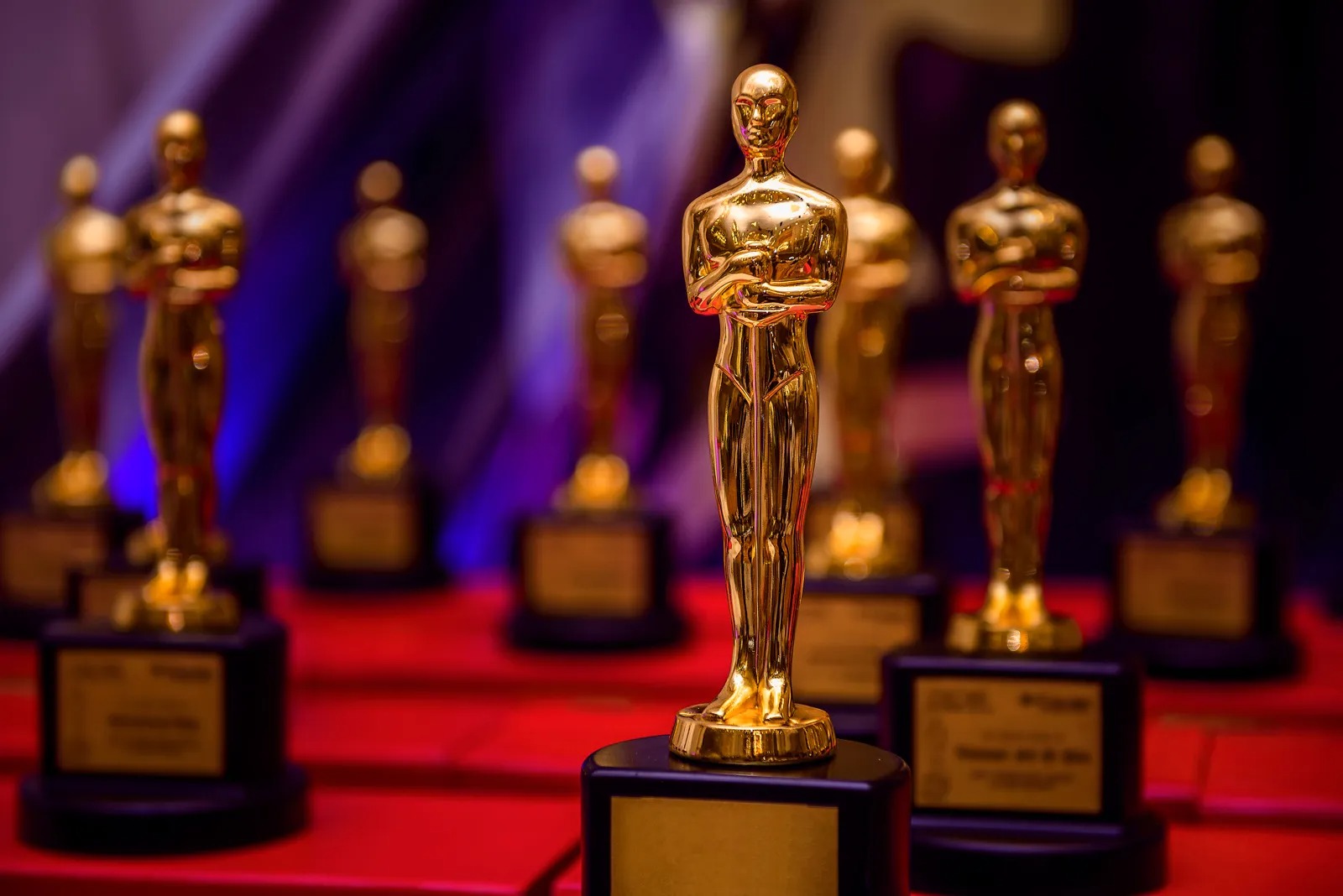 Oscar Award Ke Liye 7 Indian Films Ko Bheja Gaya Hai, Shortlist Ke Baad Konsi Film Nomination Ke Liye Select Hogee Iska Intezaar Hai