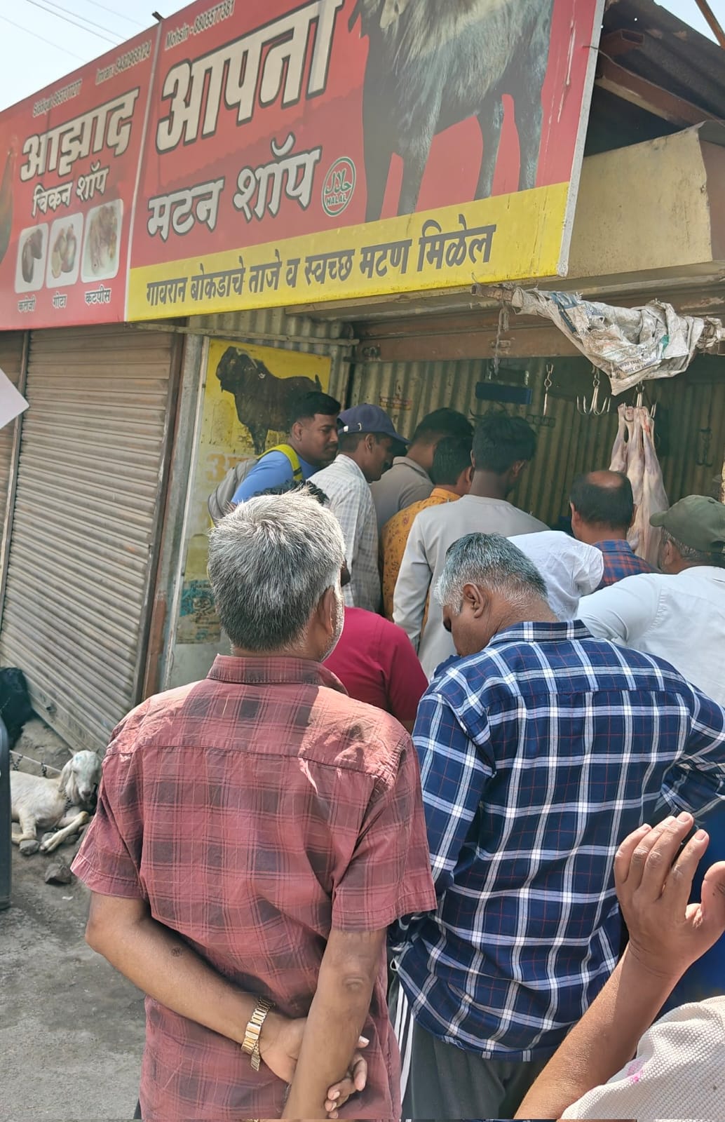 Chicken Mutton Shop Par Lambi Lambi Line Dikhayi Di Customers Ki Holi Festival Ke Mauqe Par