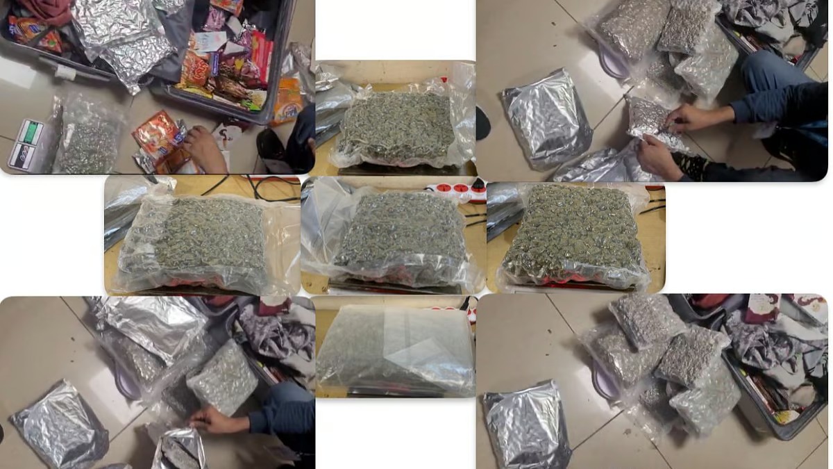 Bangkok Se 8 Crore Ki Hydroponic Weed Smuggling, 3 Pakde Gaye Mumbai Airport Par!