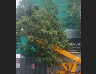 Clare Road , Nagpada Mumbai