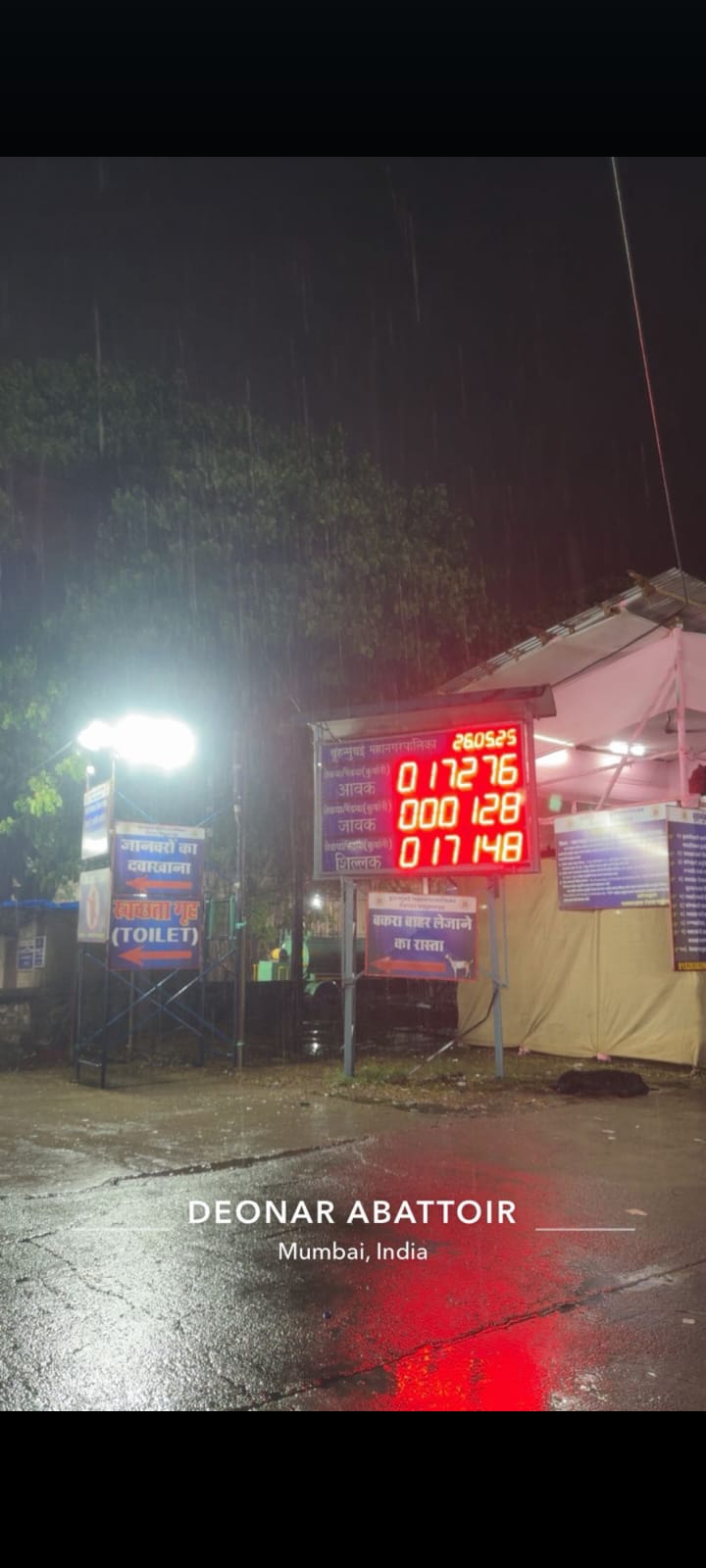 Deonat Bakra Market me pehle din 17276 bakron ki entry hui, 128 Bakre sale hue