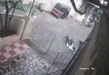 Dombivli Mein Stray Dogs Ne 6 Saal Ke Ladke Par Hamla Kiya, CCTV Mein Qaid