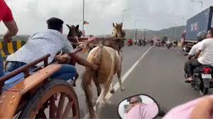 Ghoda Gaadi Race Ka Video Hua Viral, Mumbai Ke Eastern Express Highway Par Hui Thi Race, Police Case Darj