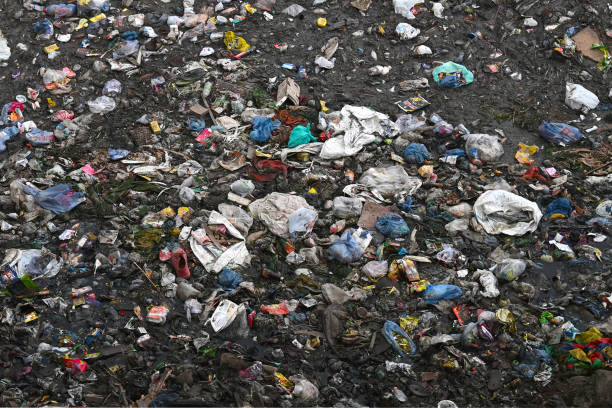 Plastic Ban – Single Use Plastic par fine lagaana shuru kiya BMC ne, 29 Cases me Rs 1.45 lakh Fine vasoola gaya
