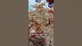 Khane Mein Mila Cockroach