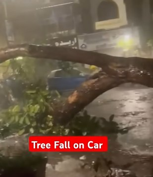Tree Fall On Car At Colaba