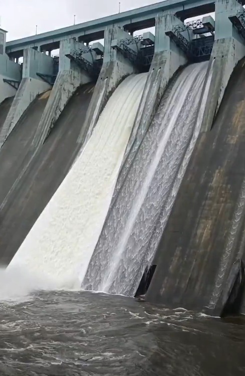 7 Lakes Ka Water Level 73% Ke Paar, Modak Sagar Lake Hua Overflow, Dekho Video!