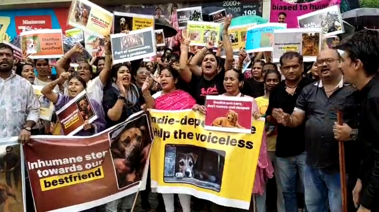 People of MiraBhayander including activists, feeders, dog lovers, animal lovers, rescuers, and many others joined the protest held outside Maxus Mall, Bhayander West. Over 250 people participated in the protest against the Supreme Court’s order to confine all street indies to shelters.”