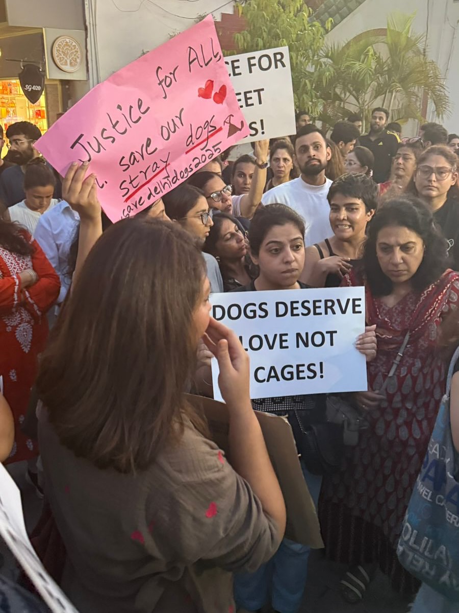 Bandra Mein Animal Lovers Aur Activists Ne Supreme Court Ke Faisle Ke Khilaf Protest Kiya