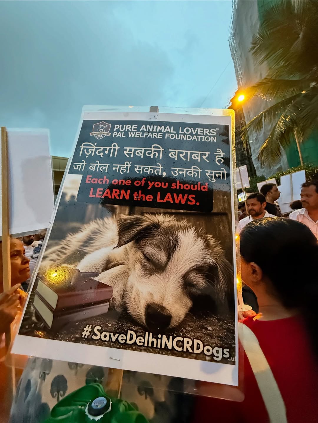 Animal Lovers Ne Maharashtra Govt K Khilaf Kiya Protest