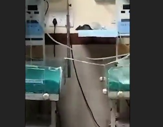 Cooper Hospital Mein Chuhe Ka Aatank, Dean Ne Kiya Pest Control Ka Order