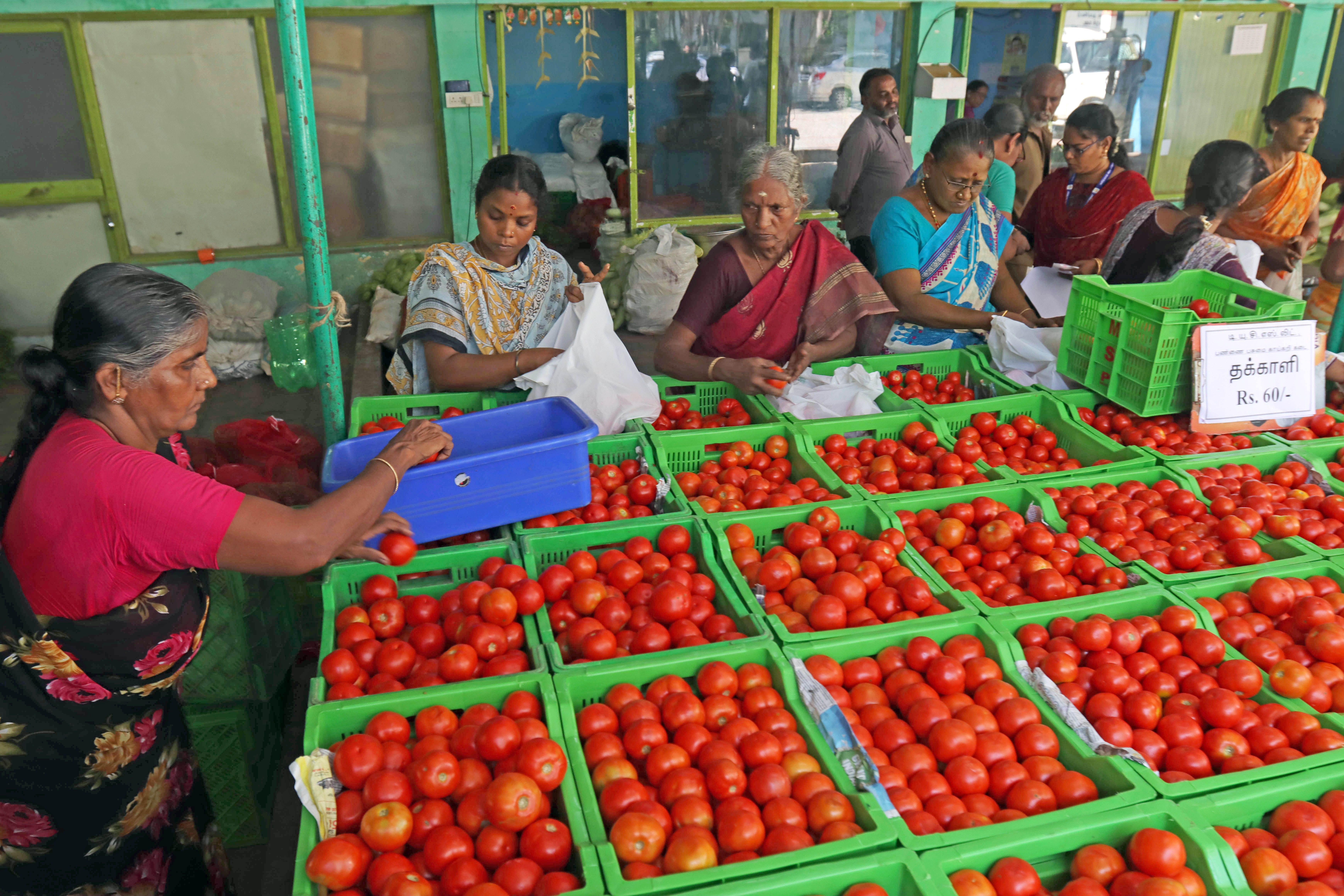 Unseasonal Barish Ne Mumbai‑Region Mein Tomato Ke Daam Ko Aasmaan Tak Uchaal Diya