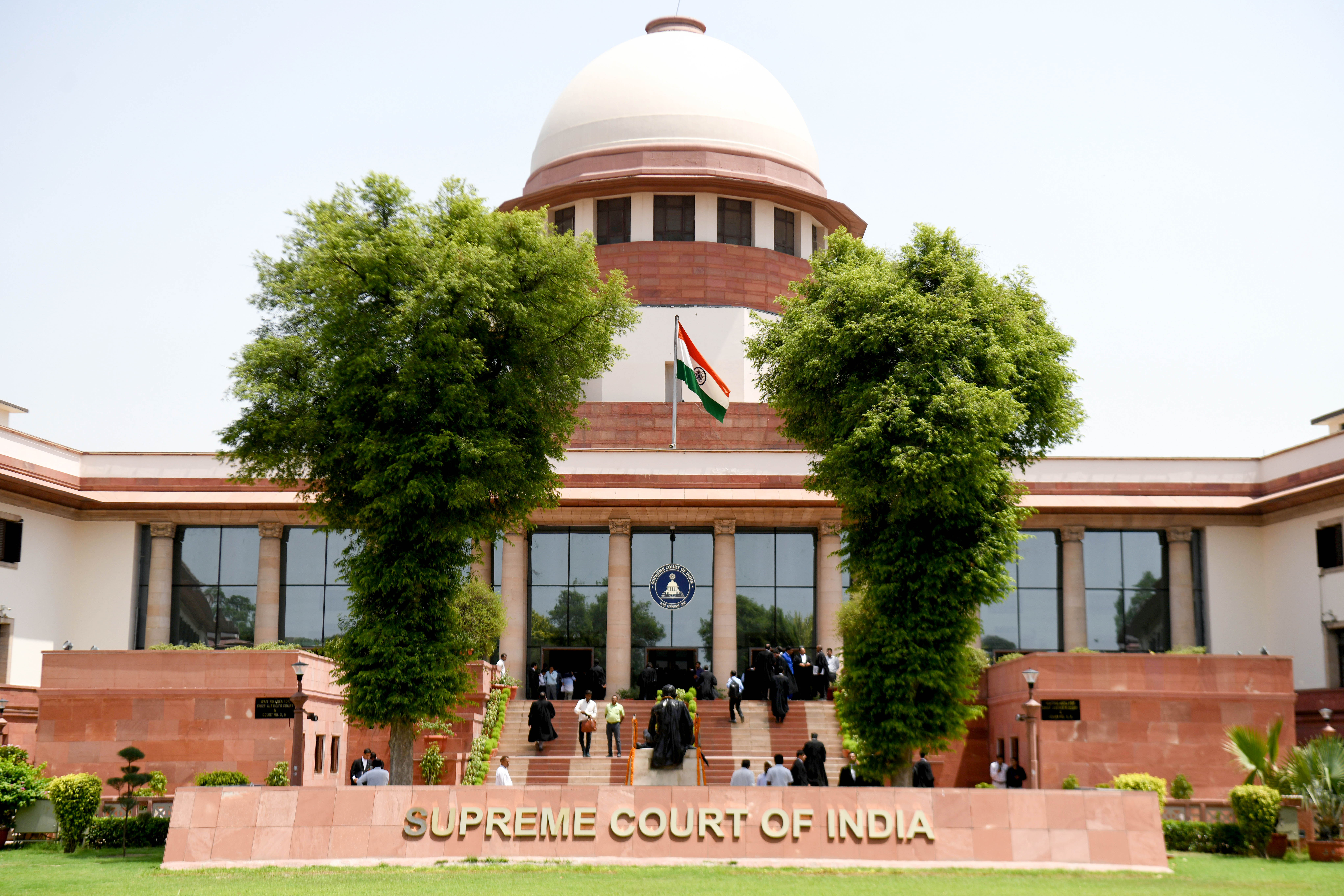 Supreme Court ke stray dogs ko public spaces se hatane ke order ne poore desh mein Dog Lovers me gussa bhar diya hai.
