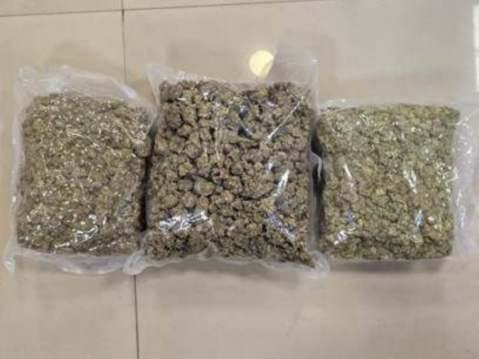 42 KG Hydroponic Weed Biscuit-Noodles Packets Me Chhupaye Gaye, Mumbai Airport Par 2 Arrested
